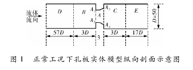 圖 1 正常工況下孔板實體模型縱向剖面示意圖