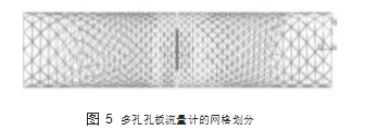圖 5	多孔孔板流量計的網(wǎng)格劃分