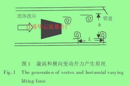 圖 1 　漩渦和橫向變動升力產(chǎn)生原理